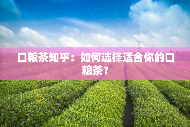 口粮茶知乎：如何选择适合你的口粮茶？