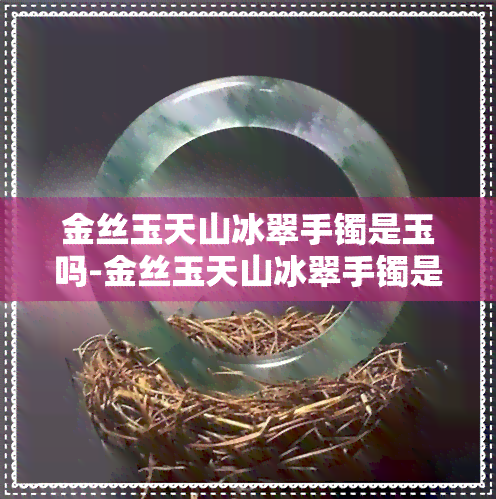 金丝玉天山冰翠手镯是玉吗-金丝玉天山冰翠手镯是玉吗?