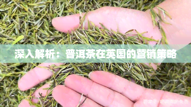 深入解析：普洱茶在英国的营销策略