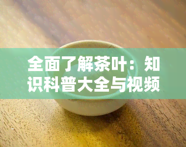 全面了解茶叶：知识科普大全与视频讲解