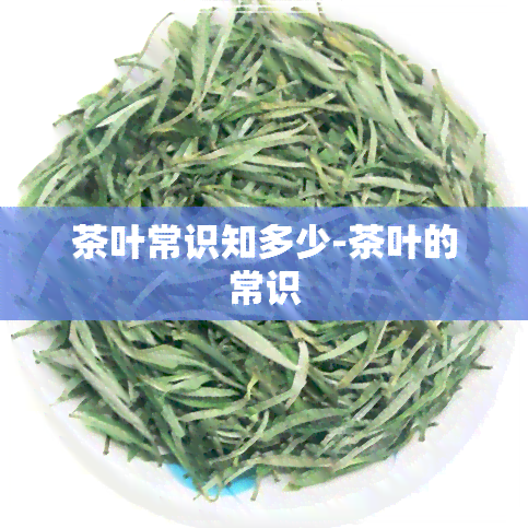 茶叶常识知多少-茶叶的常识