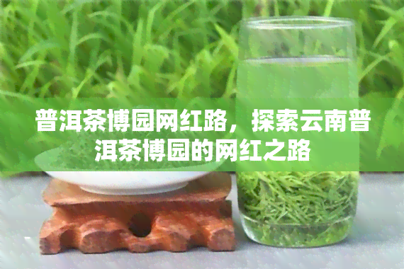 普洱茶博园网红路，探索云南普洱茶博园的网红之路