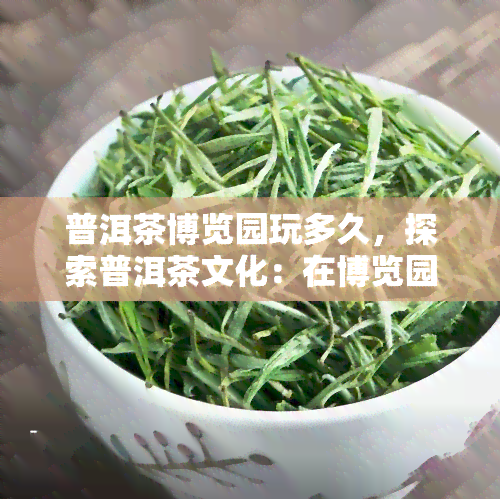 普洱茶博览园玩多久，探索普洱茶文化：在博览园中度过美好时光