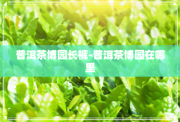 普洱茶博园长裤-普洱茶博园在哪里