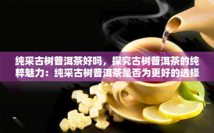 纯采古树普洱茶好吗，探究古树普洱茶的纯粹魅力：纯采古树普洱茶是否为更好的选择？