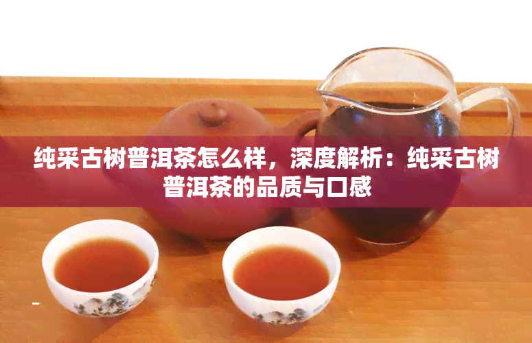 纯采古树普洱茶怎么样，深度解析：纯采古树普洱茶的品质与口感