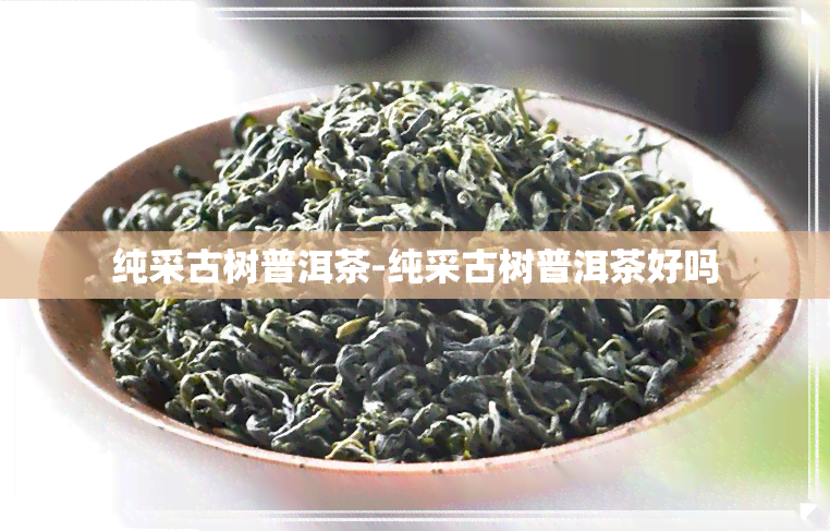 纯采古树普洱茶-纯采古树普洱茶好吗