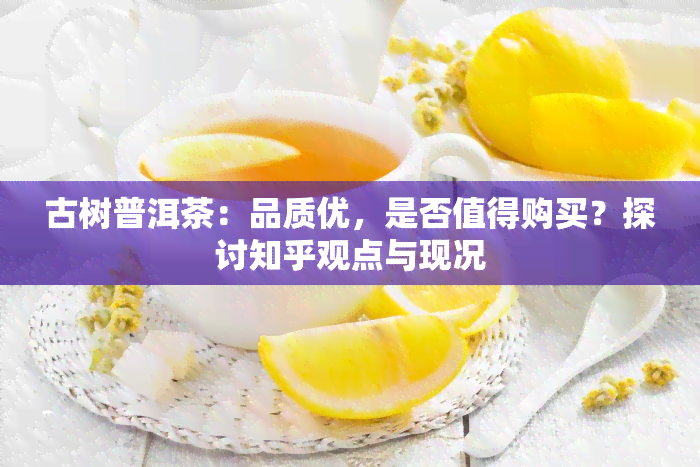 古树普洱茶：品质优，是否值得购买？探讨知乎观点与现况