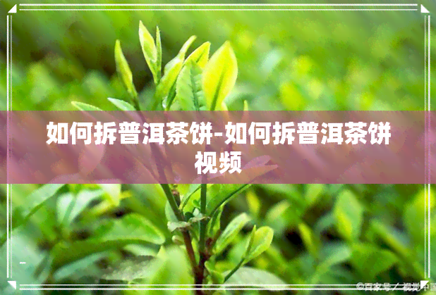 如何拆普洱茶饼-如何拆普洱茶饼视频