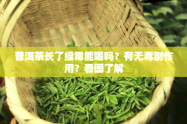 普洱茶长了绿霉能喝吗？有无副作用？看图了解