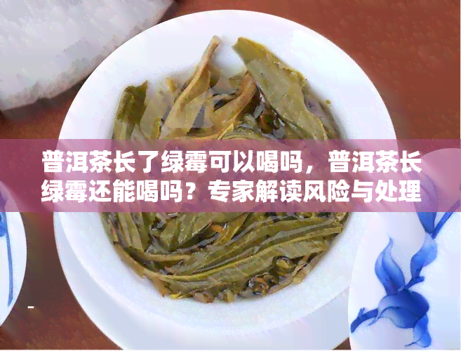 普洱茶长了绿霉可以喝吗，普洱茶长绿霉还能喝吗？专家解读风险与处理方法