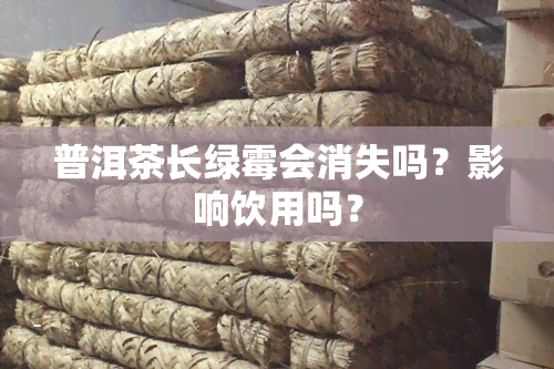 普洱茶长绿霉会消失吗？影响饮用吗？