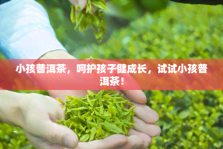 小孩普洱茶，呵护孩子健成长，试试小孩普洱茶！