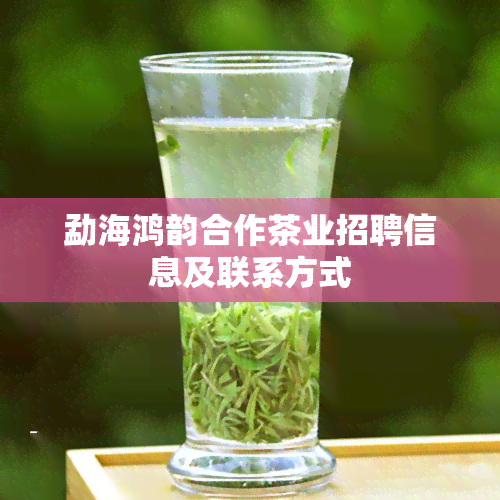 勐海鸿韵合作茶业招聘信息及联系方式