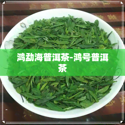 鸿勐海普洱茶-鸿号普洱茶