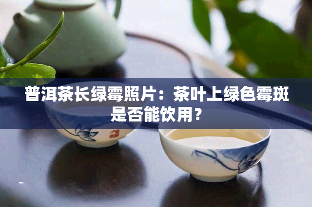 普洱茶长绿霉照片：茶叶上绿色霉斑是否能饮用？