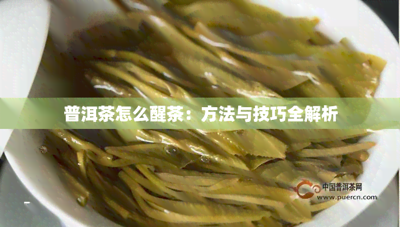 普洱茶怎么醒茶：方法与技巧全解析