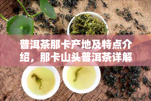 普洱茶那卡产地及特点介绍，那卡山头普洱茶详解