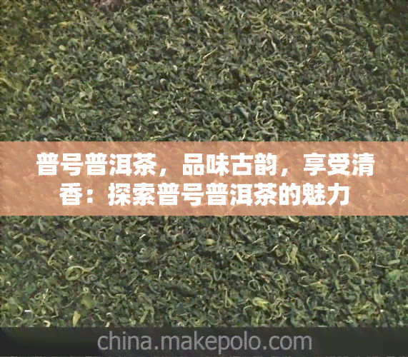 普号普洱茶，品味古韵，享受清香：探索普号普洱茶的魅力