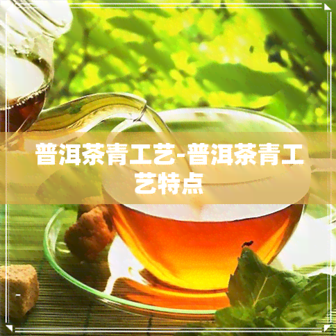 普洱茶青工艺-普洱茶青工艺特点