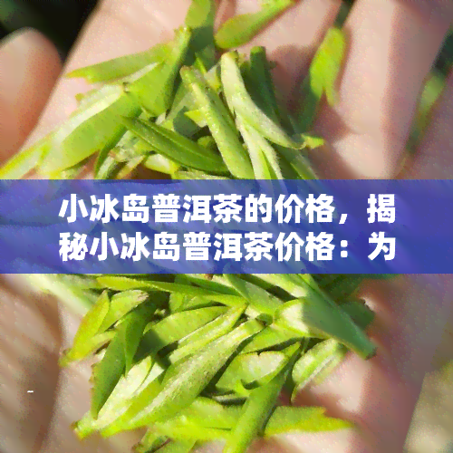 小冰岛普洱茶的价格，揭秘小冰岛普洱茶价格：为何它备受追捧？