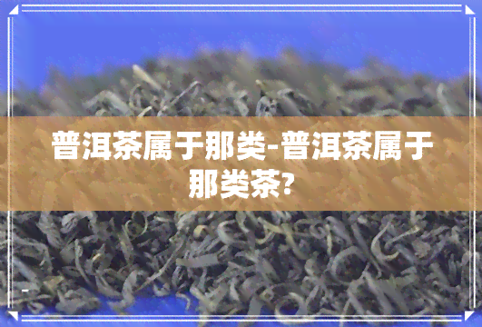 普洱茶属于那类-普洱茶属于那类茶?