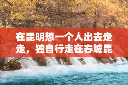 在昆明想一个人出去走走，独自行走在春城昆明，享受静谧的时光