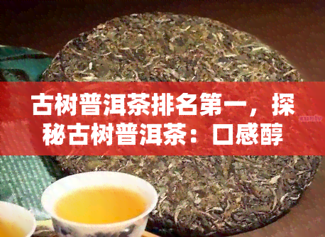 古树普洱茶排名之一，探秘古树普洱茶：口感醇厚，排名之一的茶叶王者！