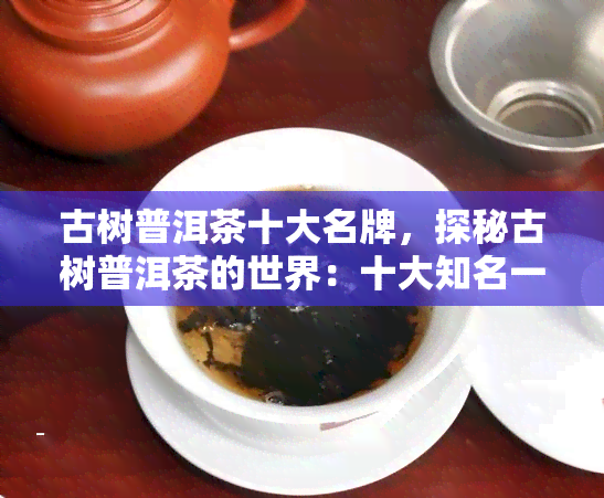 古树普洱茶十大名牌，探秘古树普洱茶的世界：十大知名一览