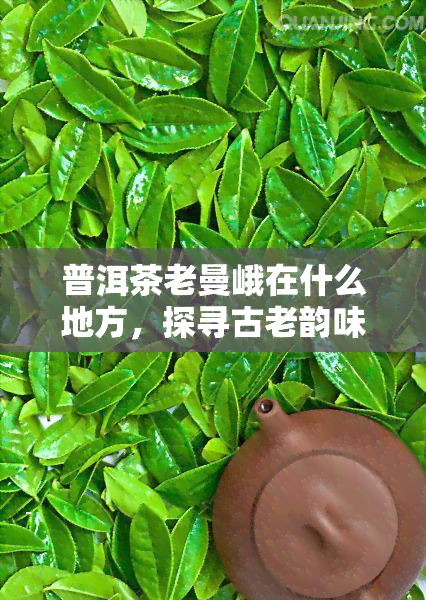 普洱茶老曼峨在什么地方，探寻古老韵味：普洱茶老曼峨的产地在哪里？