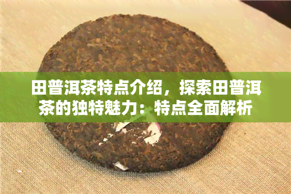 田普洱茶特点介绍，探索田普洱茶的独特魅力：特点全面解析