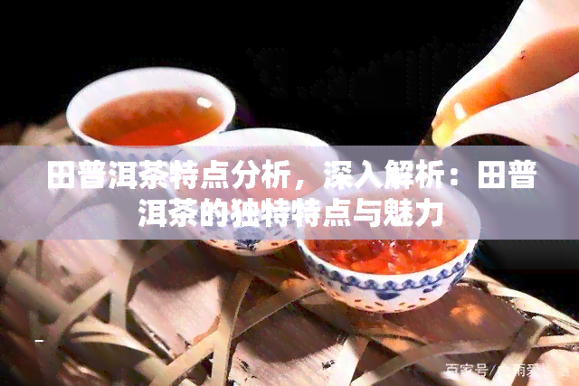 田普洱茶特点分析，深入解析：田普洱茶的独特特点与魅力