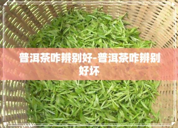 普洱茶咋辨别好-普洱茶咋辨别好坏