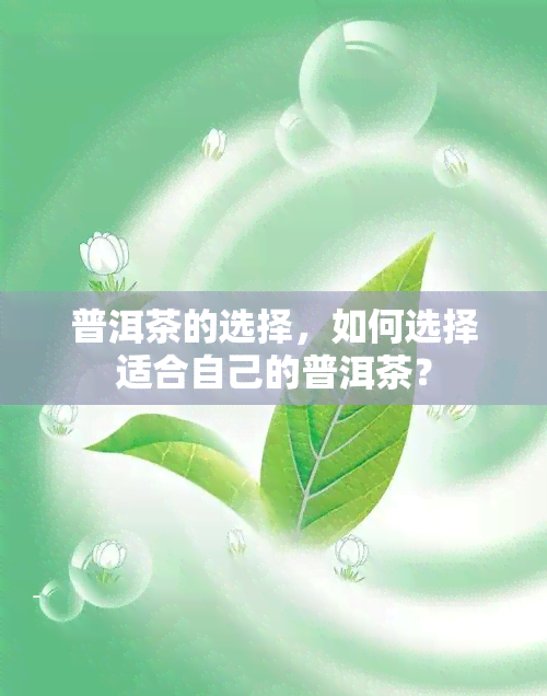 普洱茶的选择，如何选择适合自己的普洱茶？