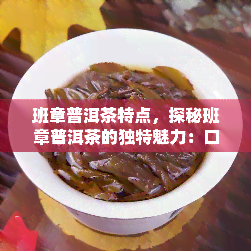 班章普洱茶特点，探秘班章普洱茶的独特魅力：口感、香气与历的交融