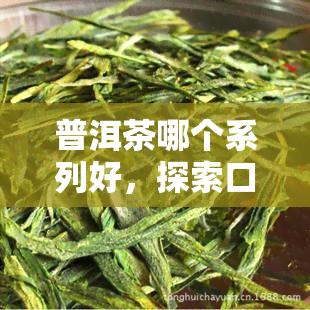 普洱茶哪个系列好，探索口感丰富的世界：普洱茶系列推荐