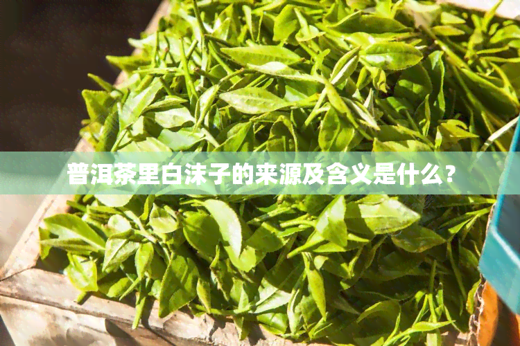 普洱茶里白沫子的来源及含义是什么？