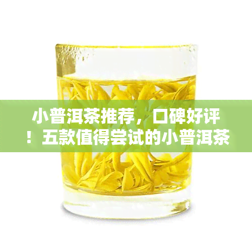 小普洱茶推荐，口碑好评！五款值得尝试的小普洱茶推荐