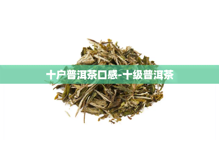 十户普洱茶口感-十级普洱茶