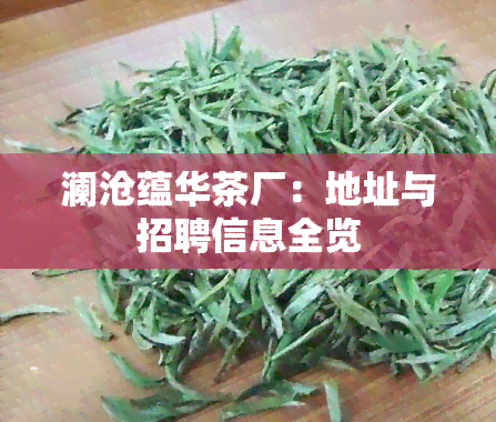 澜沧蕴华茶厂：地址与招聘信息全览