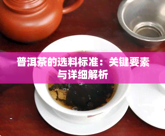 普洱茶的选料标准：关键要素与详细解析