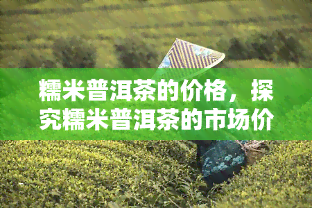 糯米普洱茶的价格，探究糯米普洱茶的市场价格与品质关系