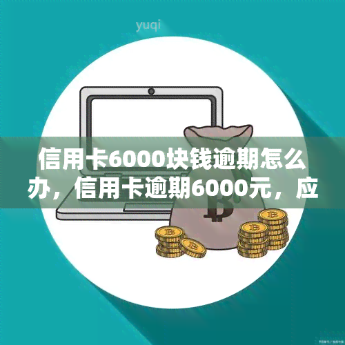 信用卡6000块钱逾期怎么办，信用卡逾期6000元，应该怎样处理？