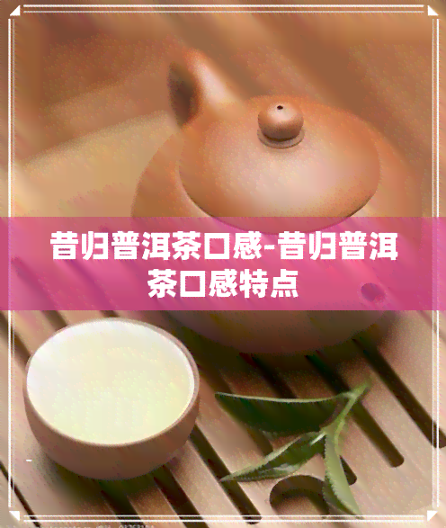 昔归普洱茶口感-昔归普洱茶口感特点