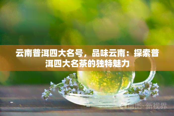 云南普洱四大名号，品味云南：探索普洱四大名茶的独特魅力