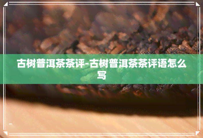 古树普洱茶茶评-古树普洱茶茶评语怎么写