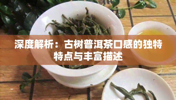 深度解析：古树普洱茶口感的独特特点与丰富描述