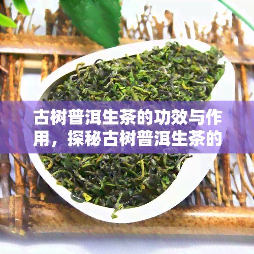 古树普洱生茶的功效与作用，探秘古树普洱生茶的神奇功效与作用