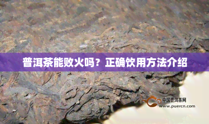 普洱茶能败火吗？正确饮用方法介绍