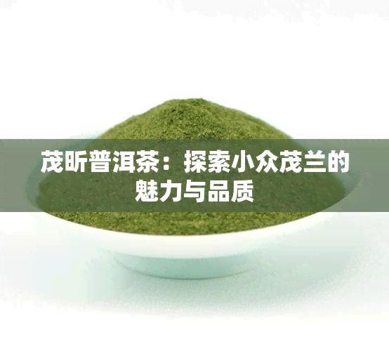 茂昕普洱茶：探索小众茂兰的魅力与品质